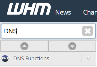 WHM Custom Name Servers