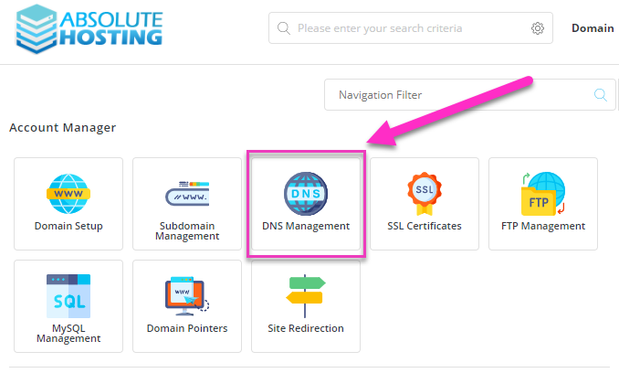 absolutehosting.co.za directadmin dns management